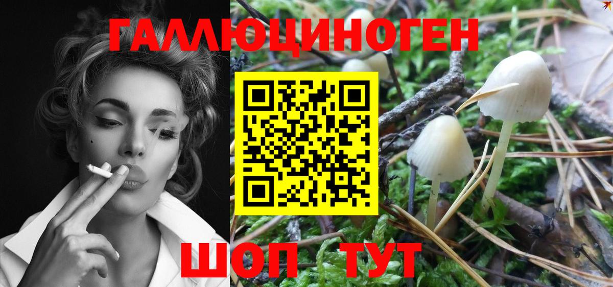 Галлюциногенные грибы ЛСД  Галлюциногенные грибы MAGIC MUSHROOMS  Владимир  Вход с VPN 